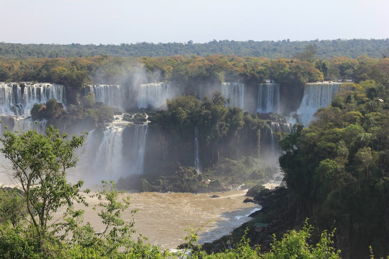 Argentine